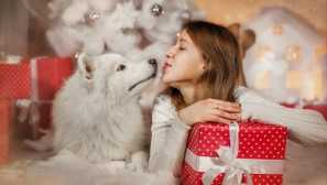 Какво да дадем за новата година на вашия домашен любимец, така че той също усети почивка